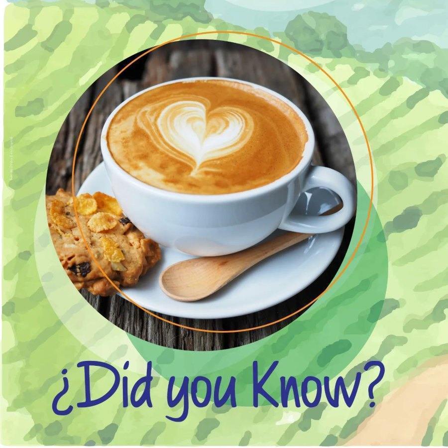 Enjoy Montreal in a Sip: Lattes and Cold Brews redefine the coffee break.