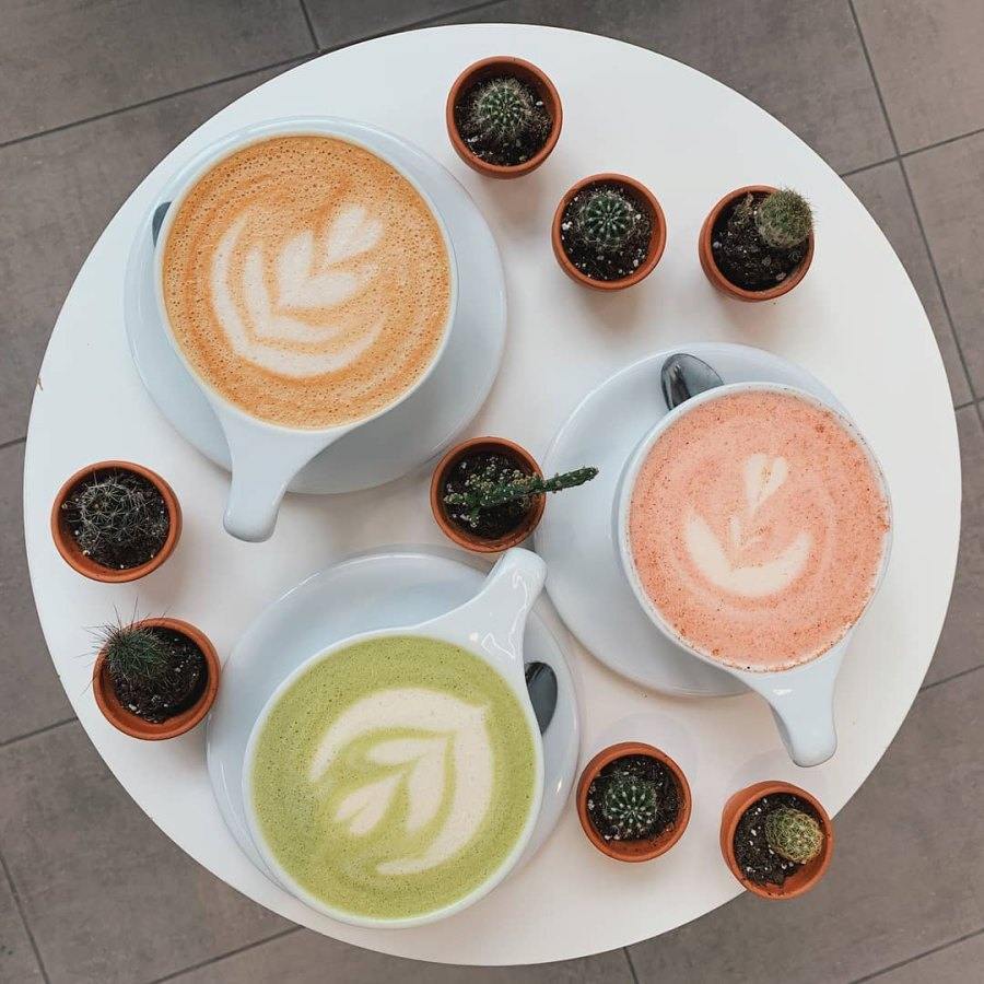 Enjoy Montreal in a Sip: Lattes and Cold Brews redefine the coffee break.