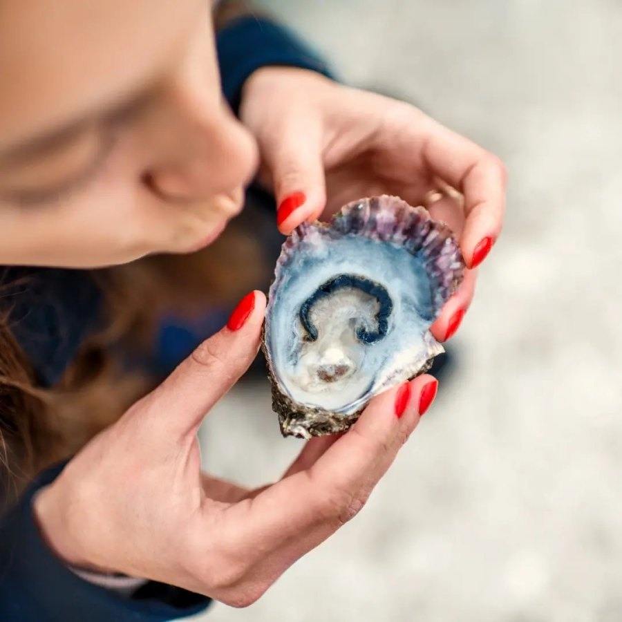 Bidon Taverne Culinaire