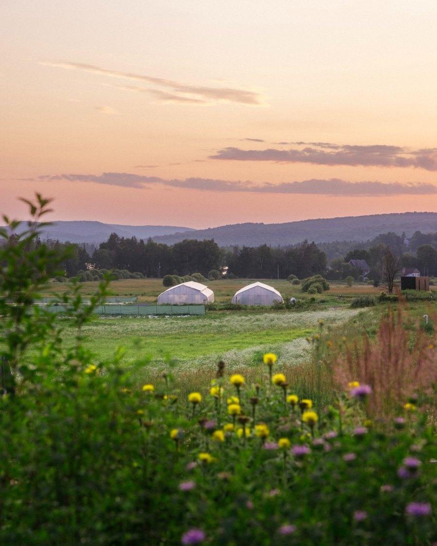 Air Canada Meilleurs nouveaux restaurants 2024