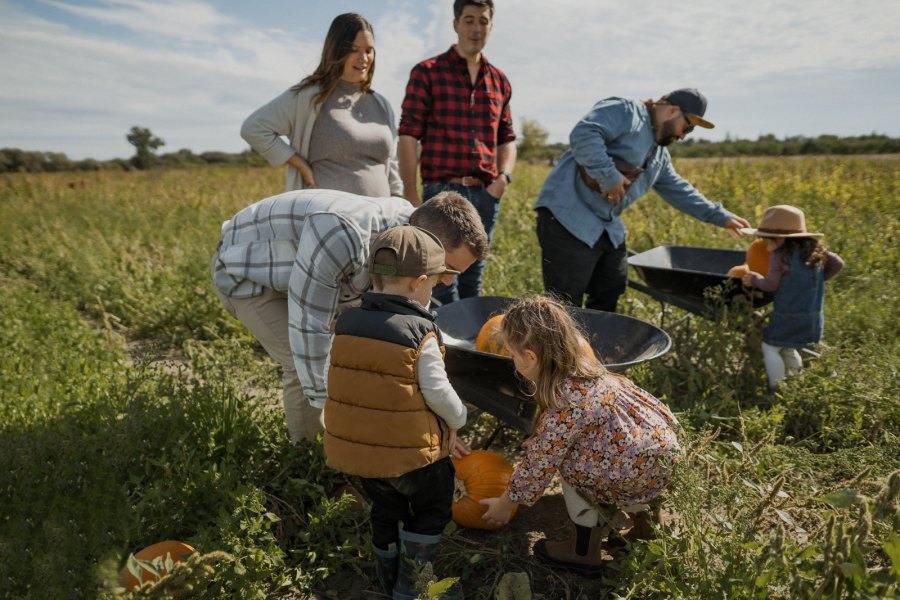 Cueillette de citrouilles Montréal