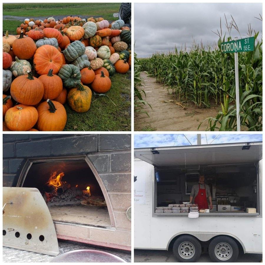 Cueillette de citrouilles Montréal