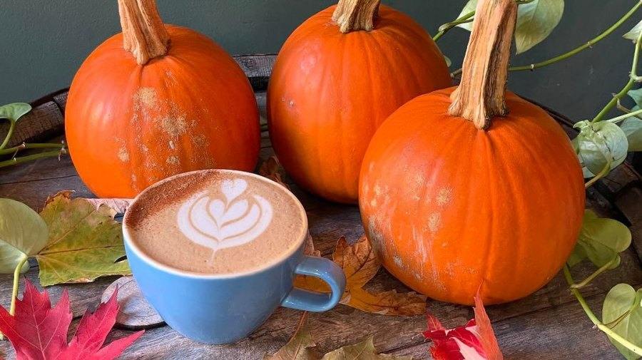 Hottest Pumpkin Spice Lattes in Montreal 