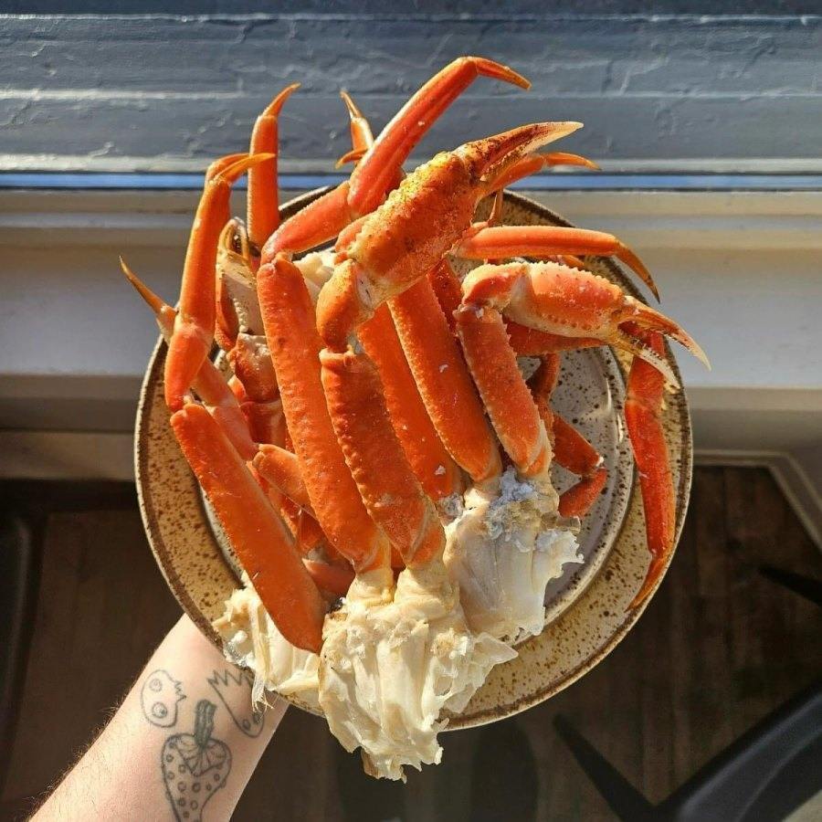 Snow Crab Season Montreal 2025
