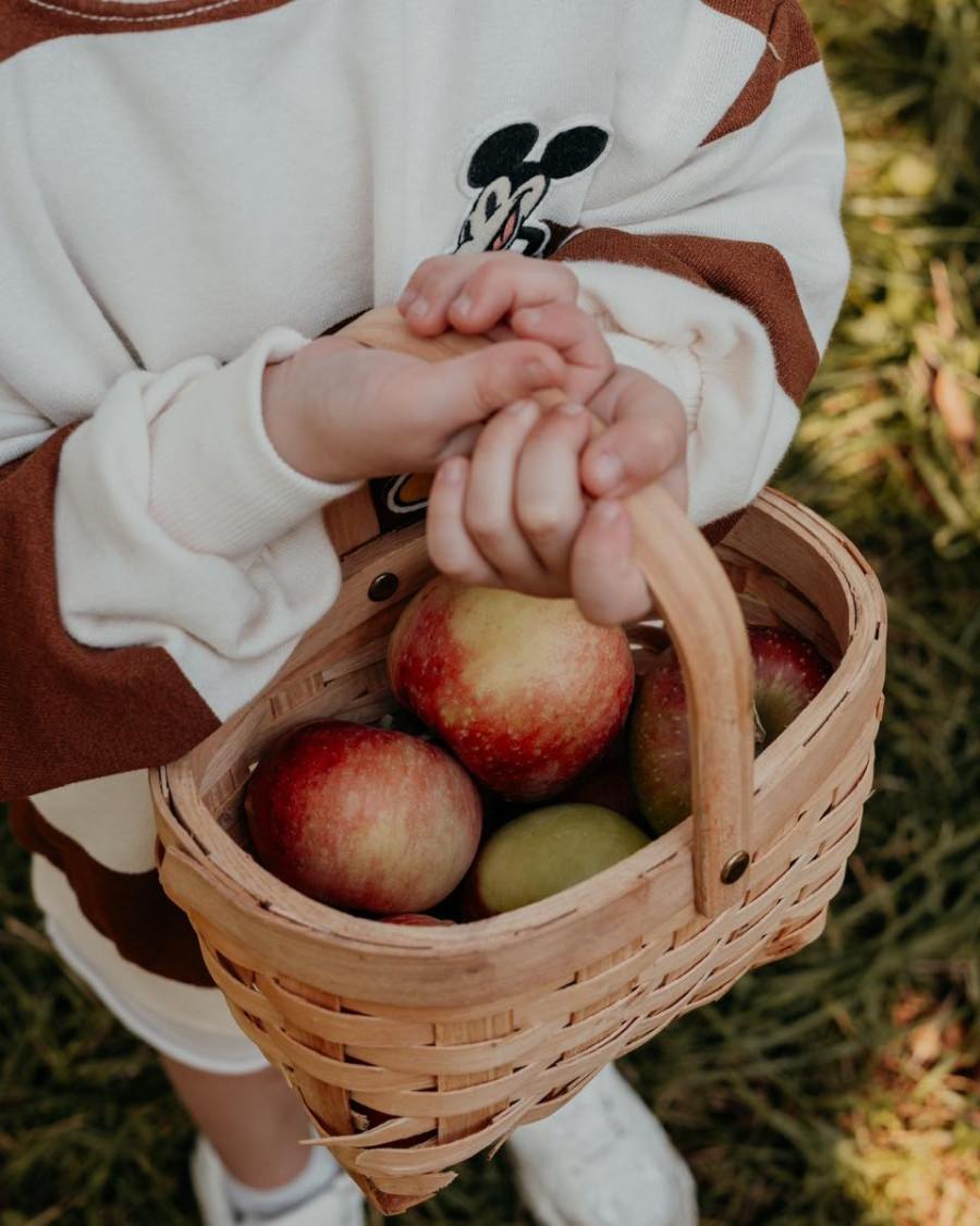 family orchards Montreal region