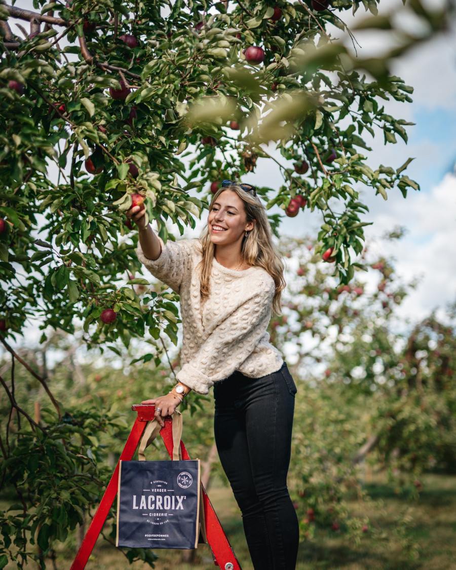 Fall apple picking Montreal