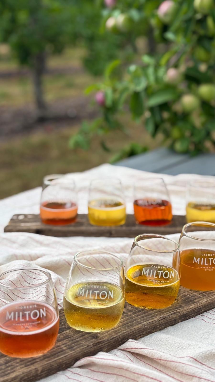 apple picking near Montreal