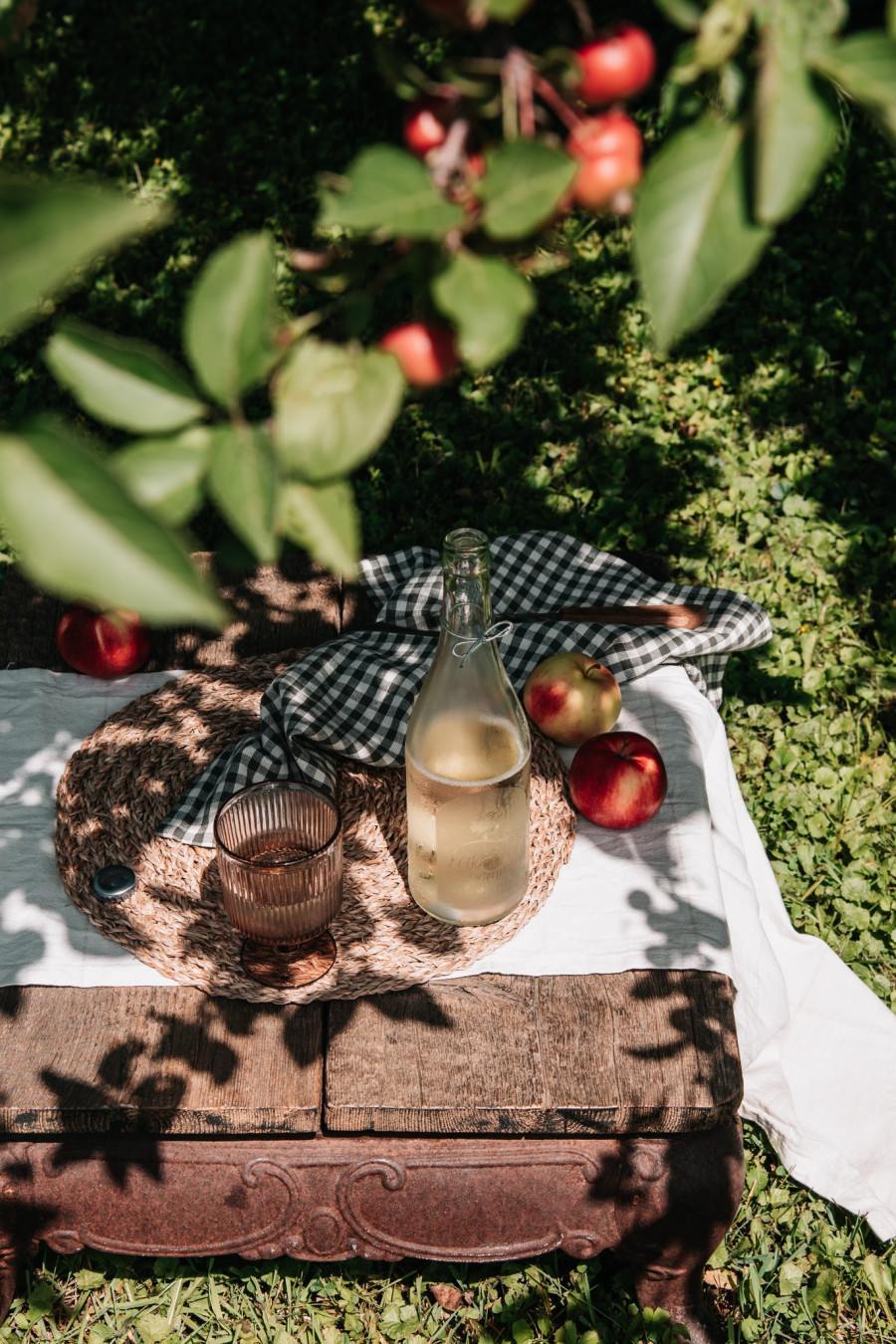 apple picking near Montreal