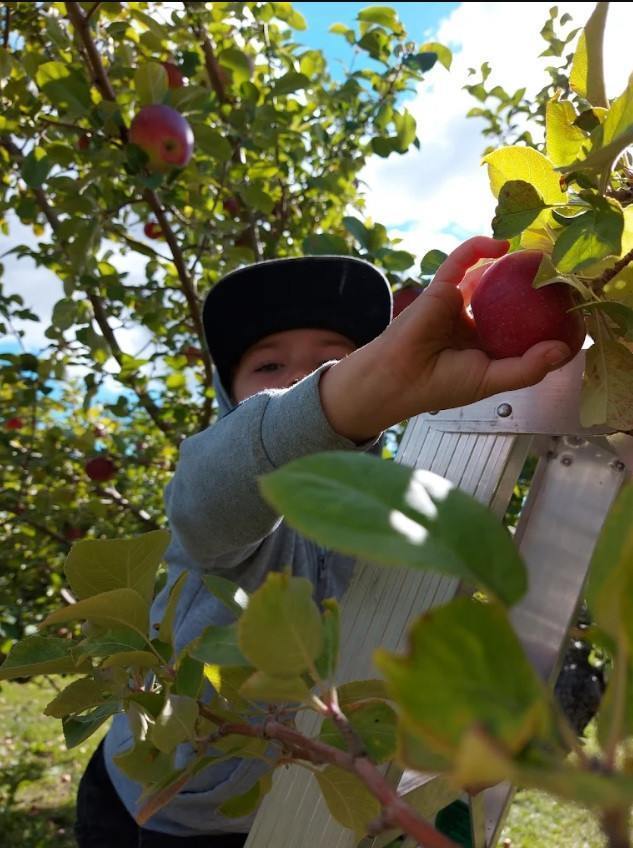 family orchards Montreal region