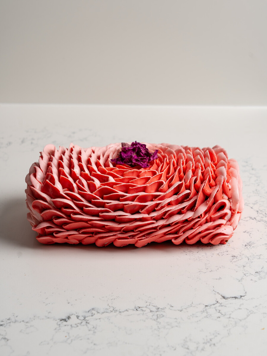 Pâtisserie Mélilot - Must-Try Yule Logs in Montreal Pâtisserie Mélilot - Must-Try Yule Logs in Montreal