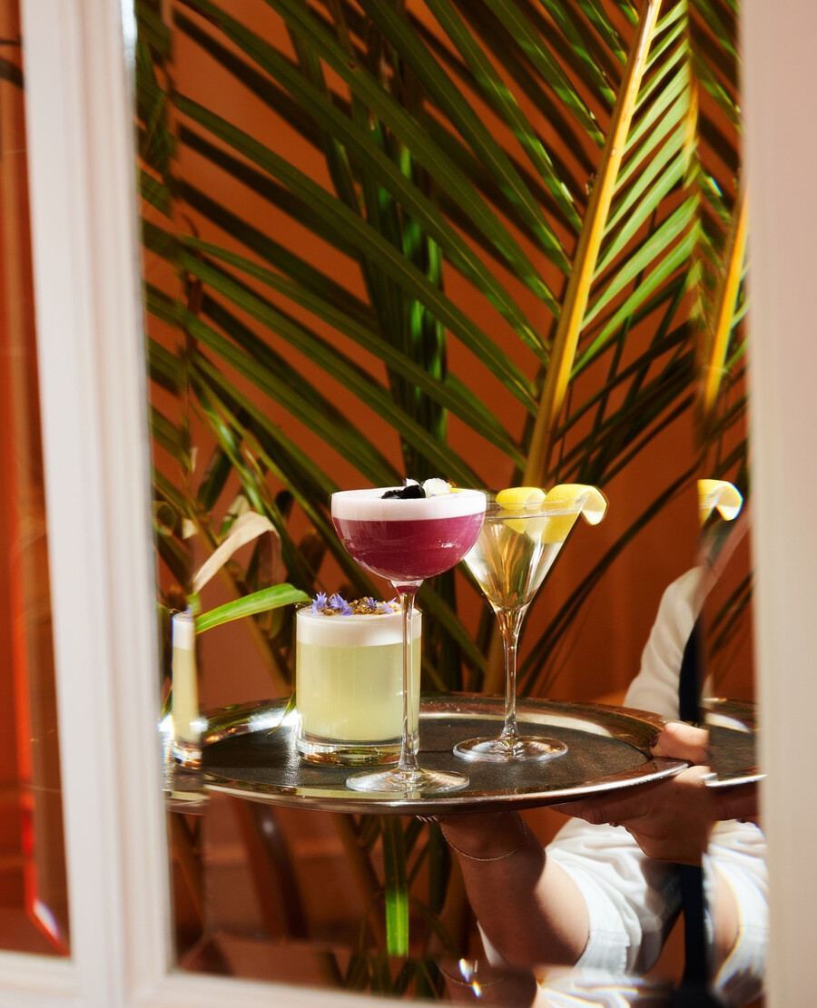 La Cour des Palmiers - Les bars d'hôtels montréalais 