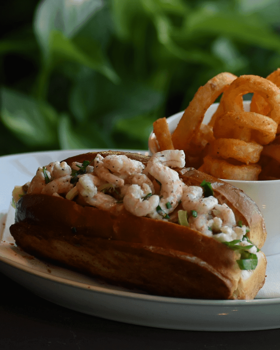 Recent Openings in Montreal: November Highlights and What's Coming in December