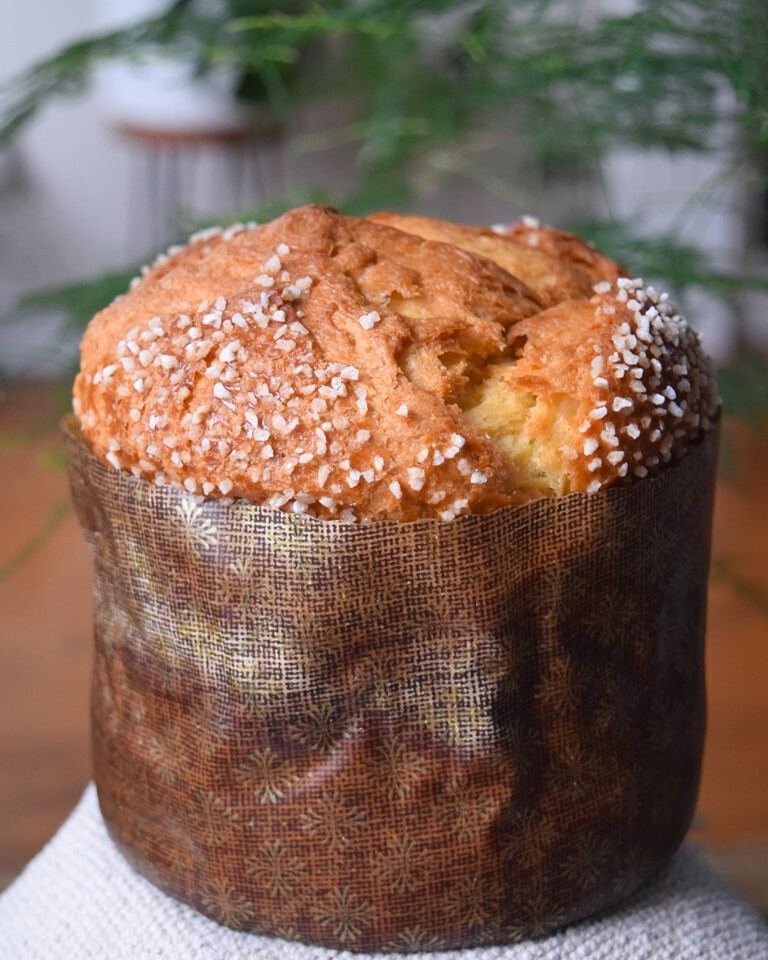 Boulangerie Jarry - Panettone et pandoro : où les trouver à Montréal pour les fêtes