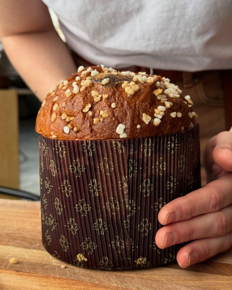 Elena - Where to Find the Best Panettone & Pandoro in Montreal This Season Elena - Where to Find the Best Panettone & Pandoro in Montreal This Season