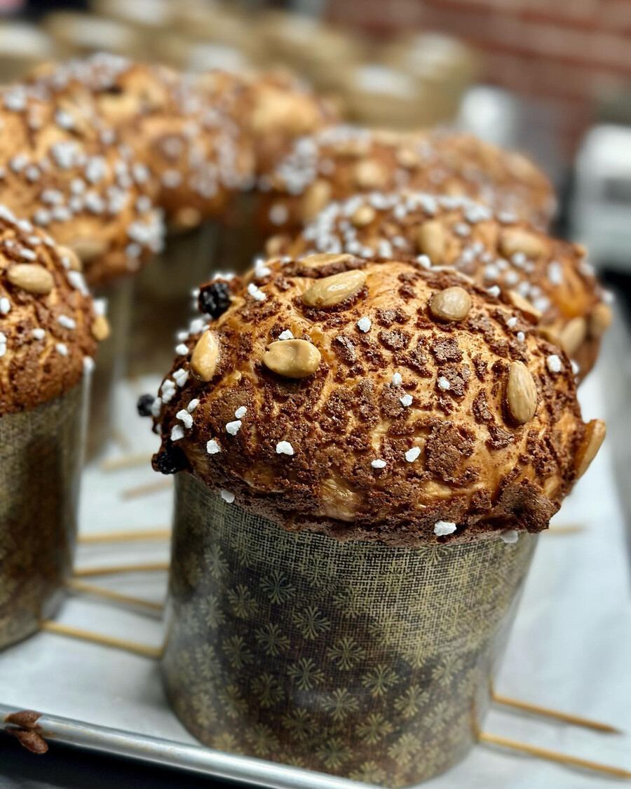 Hof Kelsten - Where to Find the Best Panettone & Pandoro in Montreal This Season Hof Kelsten - Where to Find the Best Panettone & Pandoro in Montreal This Season