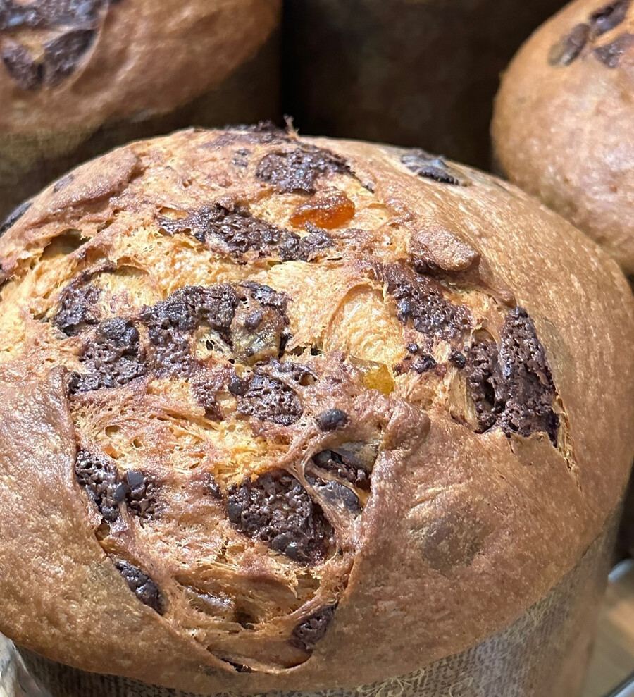 Arte et Farina - Best Panettone Montreal Arte et Farina - Best Panettone Montreal