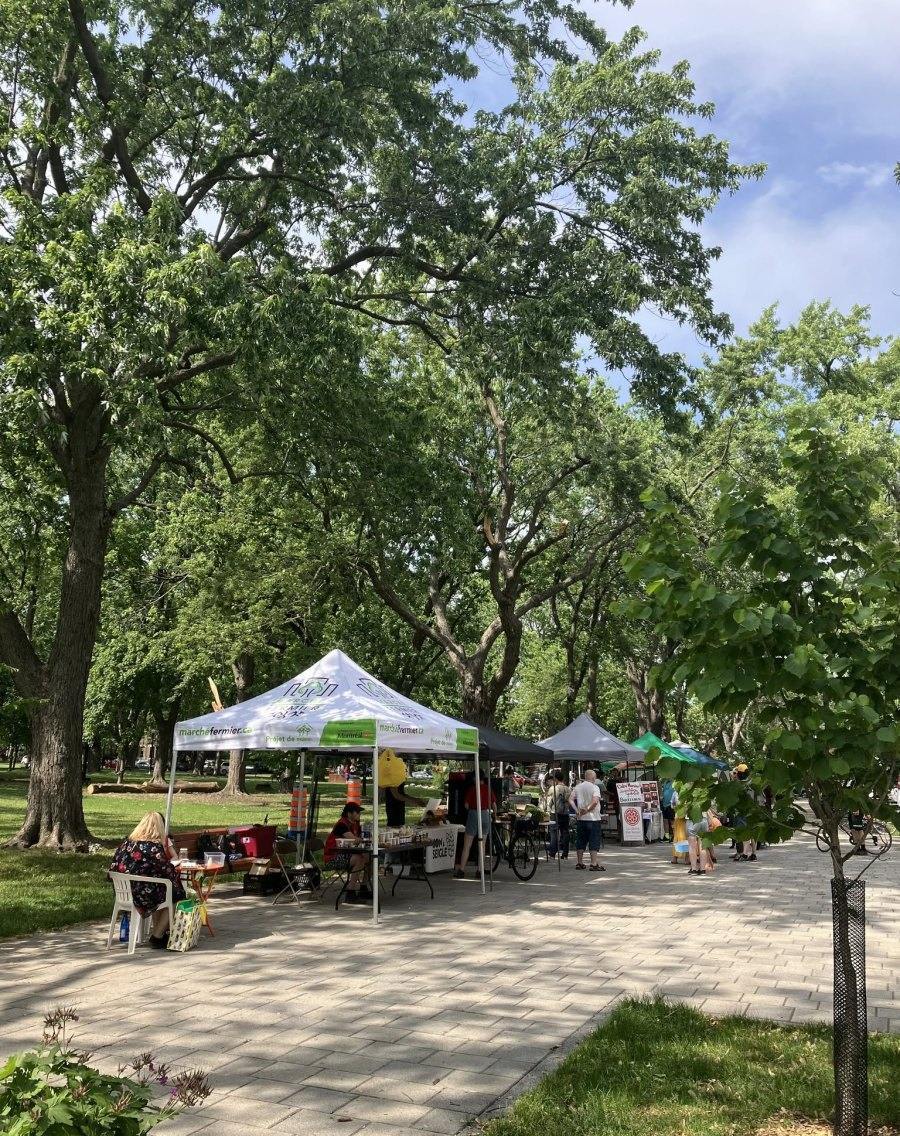Montreal's Ephemeral Spaces and Seasonal Terraces
