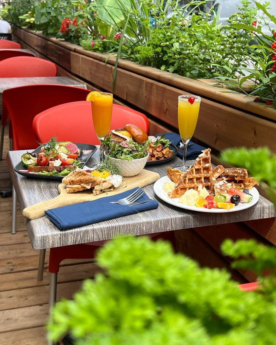 Caribou Gourmand Brunch terrasse Montréal