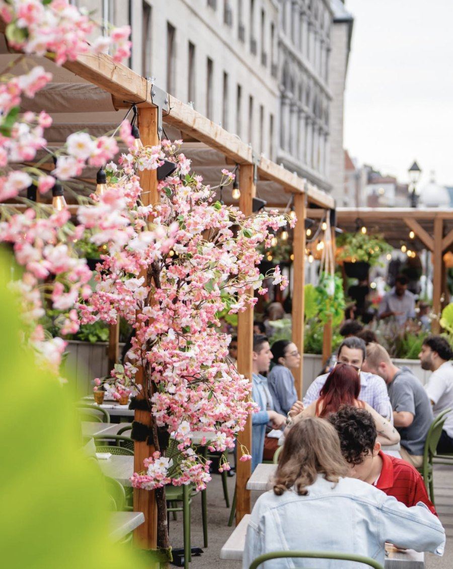 Hayat Brunch terrasse Montréal