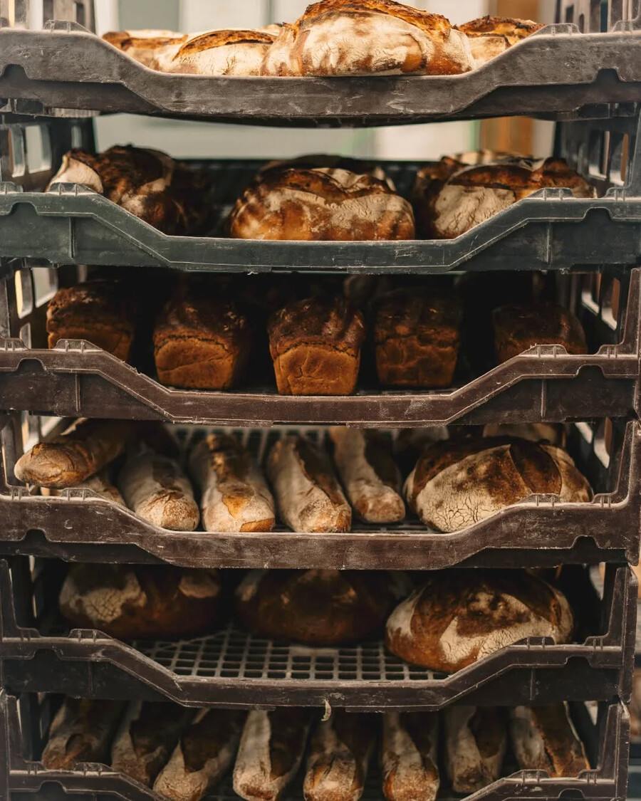 Bakery - Pizza - Le guide ultime de la Petite Italie: les meilleures adresses pour manger, boire et découvrir Bakery - Pizza - Le guide ultime de la Petite Italie: les meilleures adresses pour manger, boire et découvrir