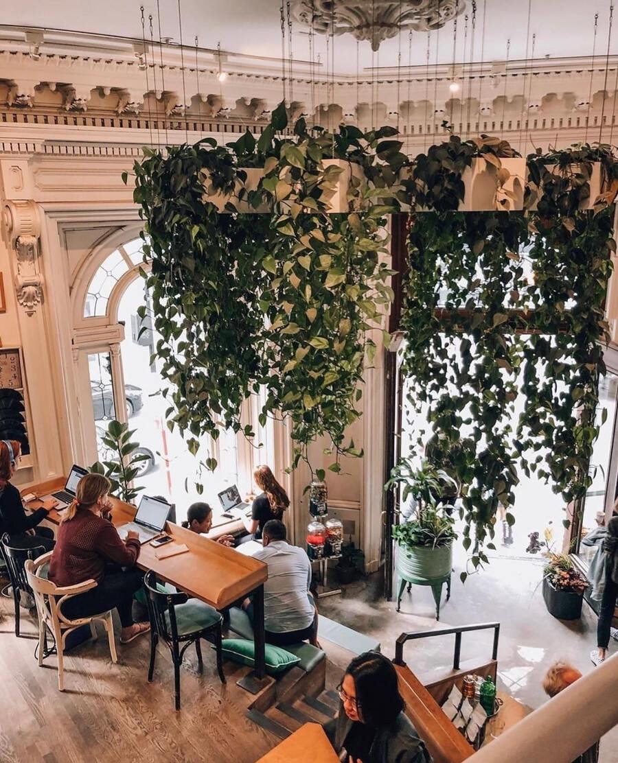 Tommy Café - 18 Cafes in Montreal Perfect for Studying and Remote Work Tommy Café - 18 Cafes in Montreal Perfect for Studying and Remote Work