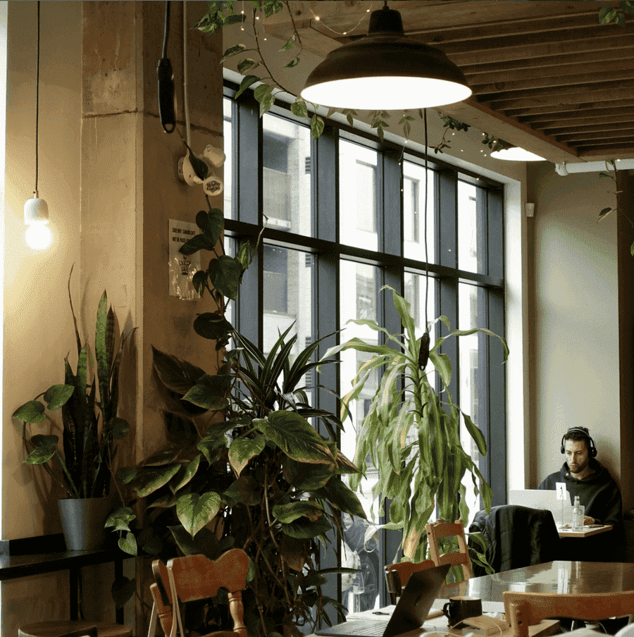 Canard Café - 18 Cafes in Montreal Perfect for Studying and Remote Work Canard Café - 18 Cafes in Montreal Perfect for Studying and Remote Work