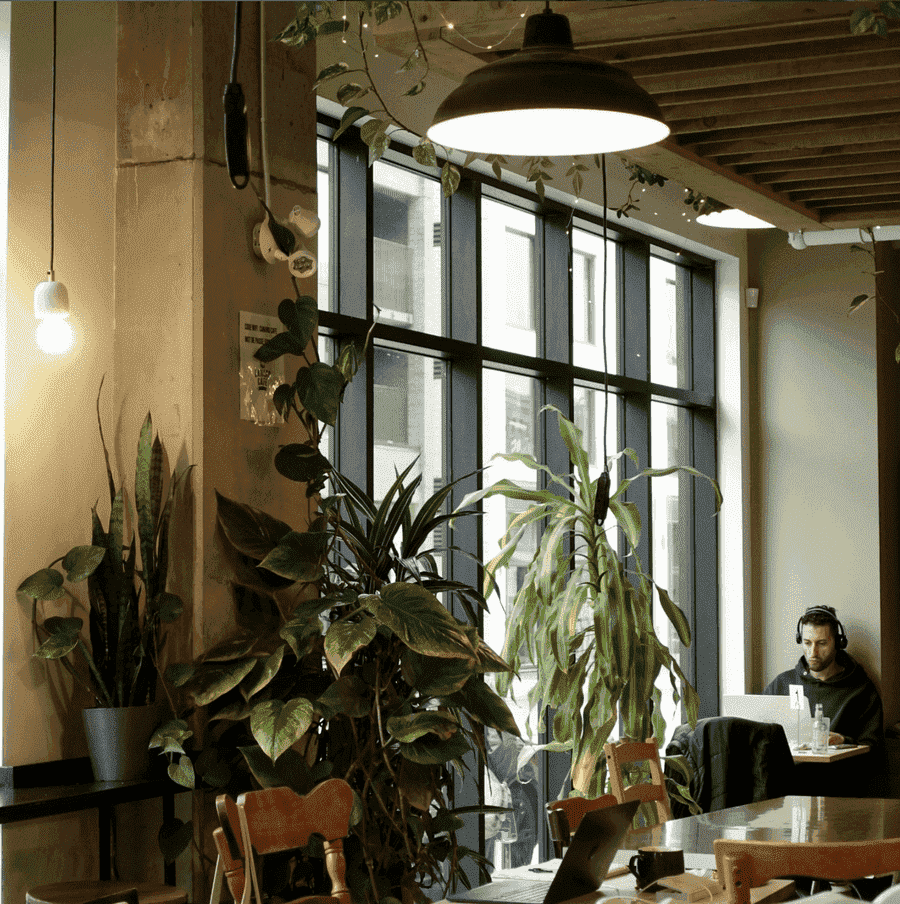 Canard Café - 18 cafés parfaits pour étudier et travailler à Montréal Canard Café - 18 cafés parfaits pour étudier et travailler à Montréal