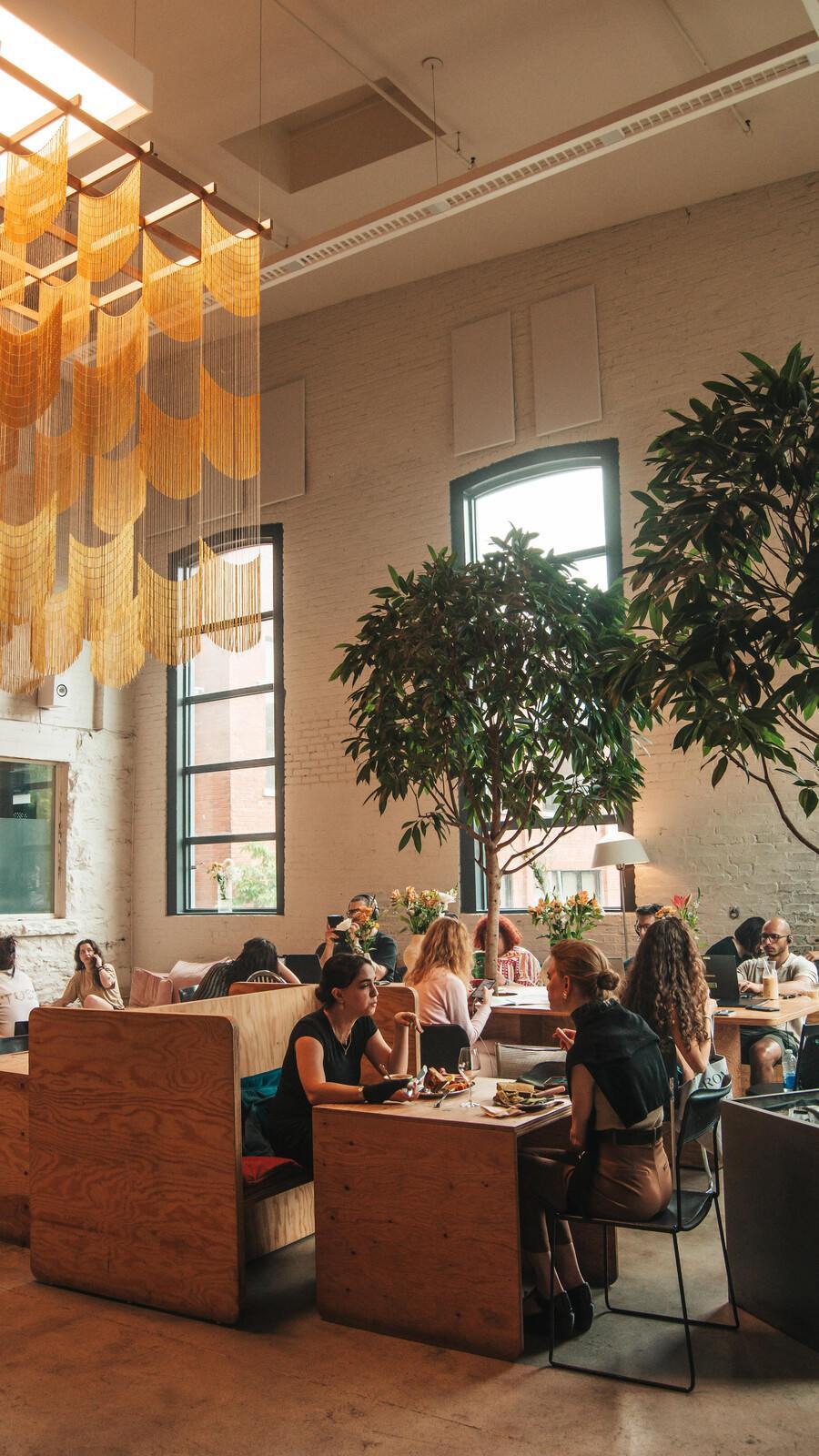 SavSav - The Most Aesthetic Cafes in Montreal SavSav - The Most Aesthetic Cafes in Montreal