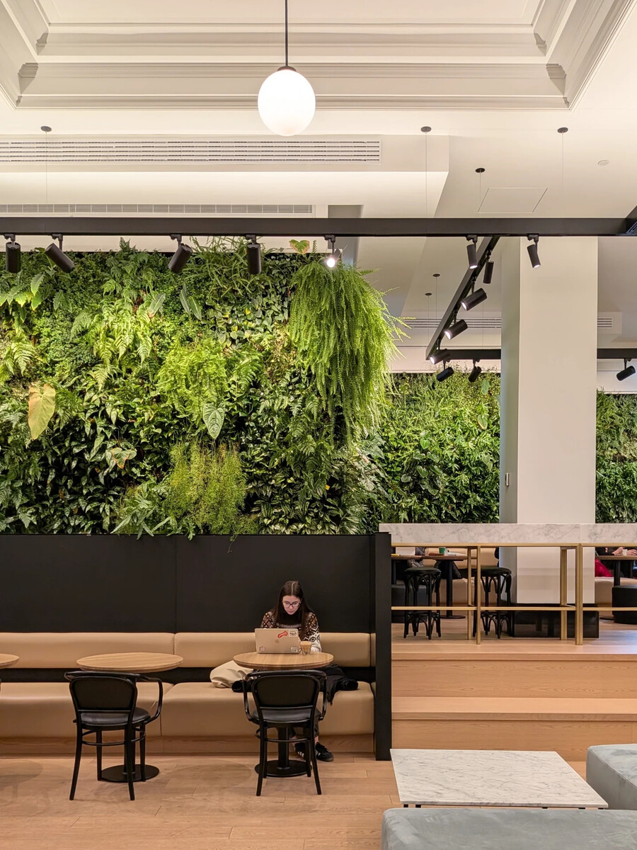 15 Cafes in Montreal Perfect for Studying and Remote Work