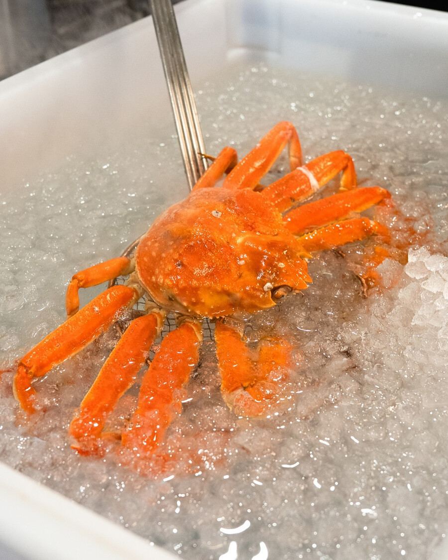 Annette Bar à Vin - Crabe des neiges Montréal