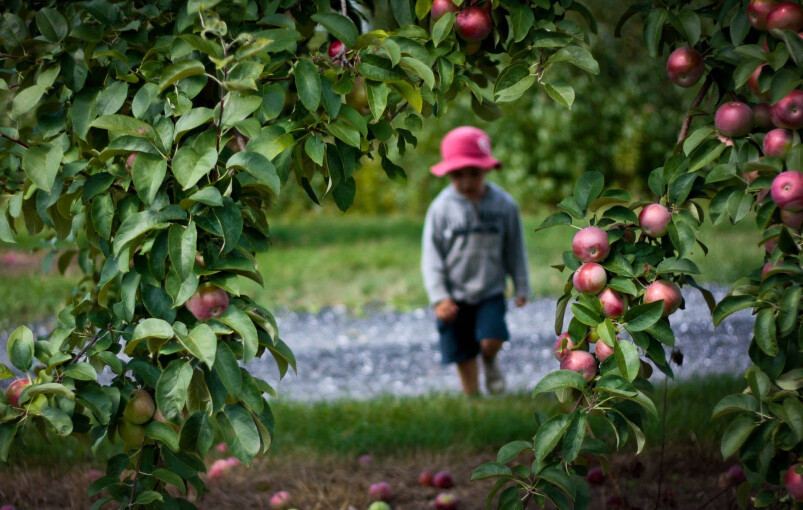 Verger Les Jardins d'Émilie