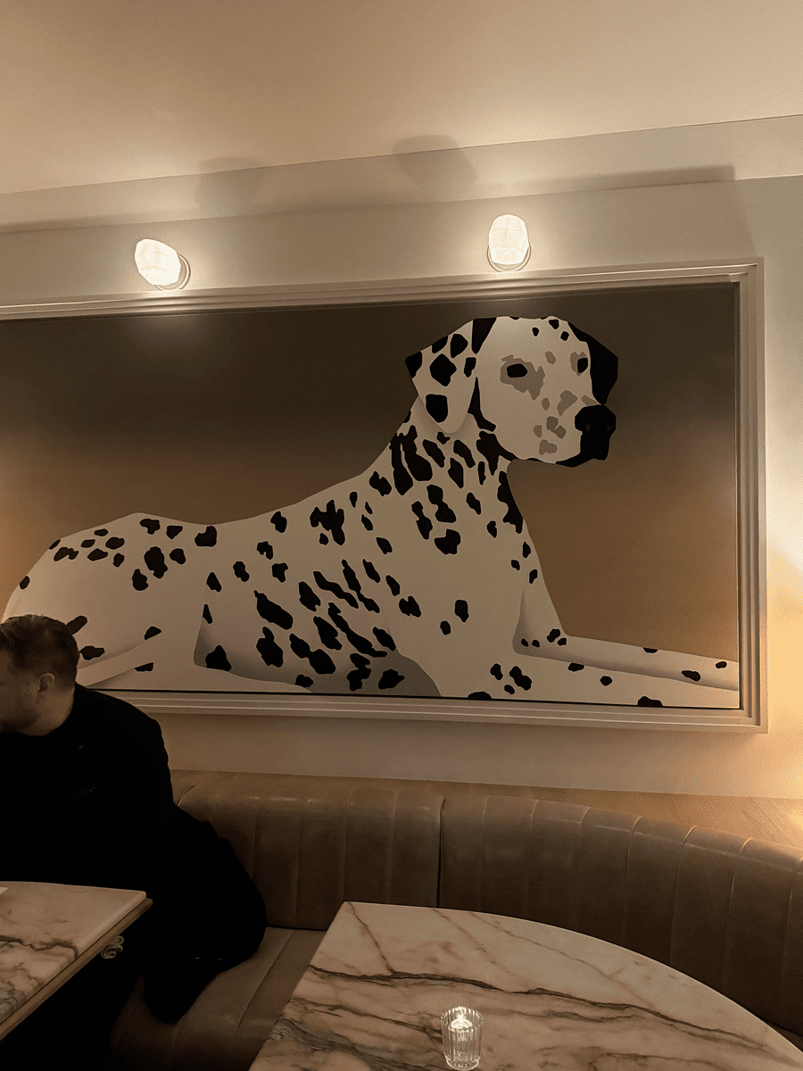 Le Violon Nos invitations médias et coups de coeur de janvier 2026