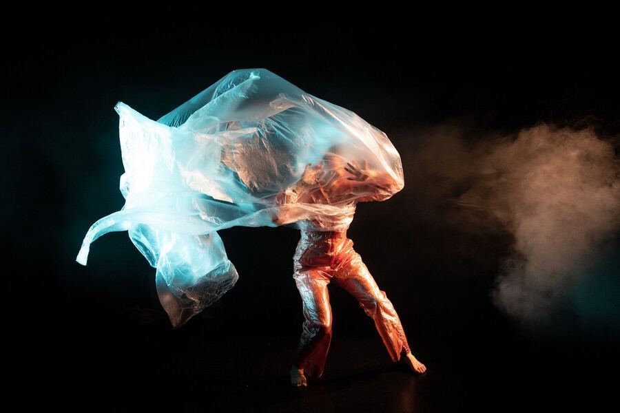 LA VRAIE FAUSSE CONFÉRENCE (Artists collective, France / Belgium / Italy)