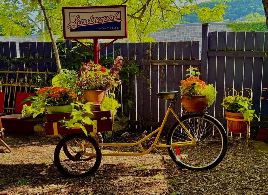 Les plus belles cours intérieures, jardins et terrasses cachées de Montréal Santropol cour jardin