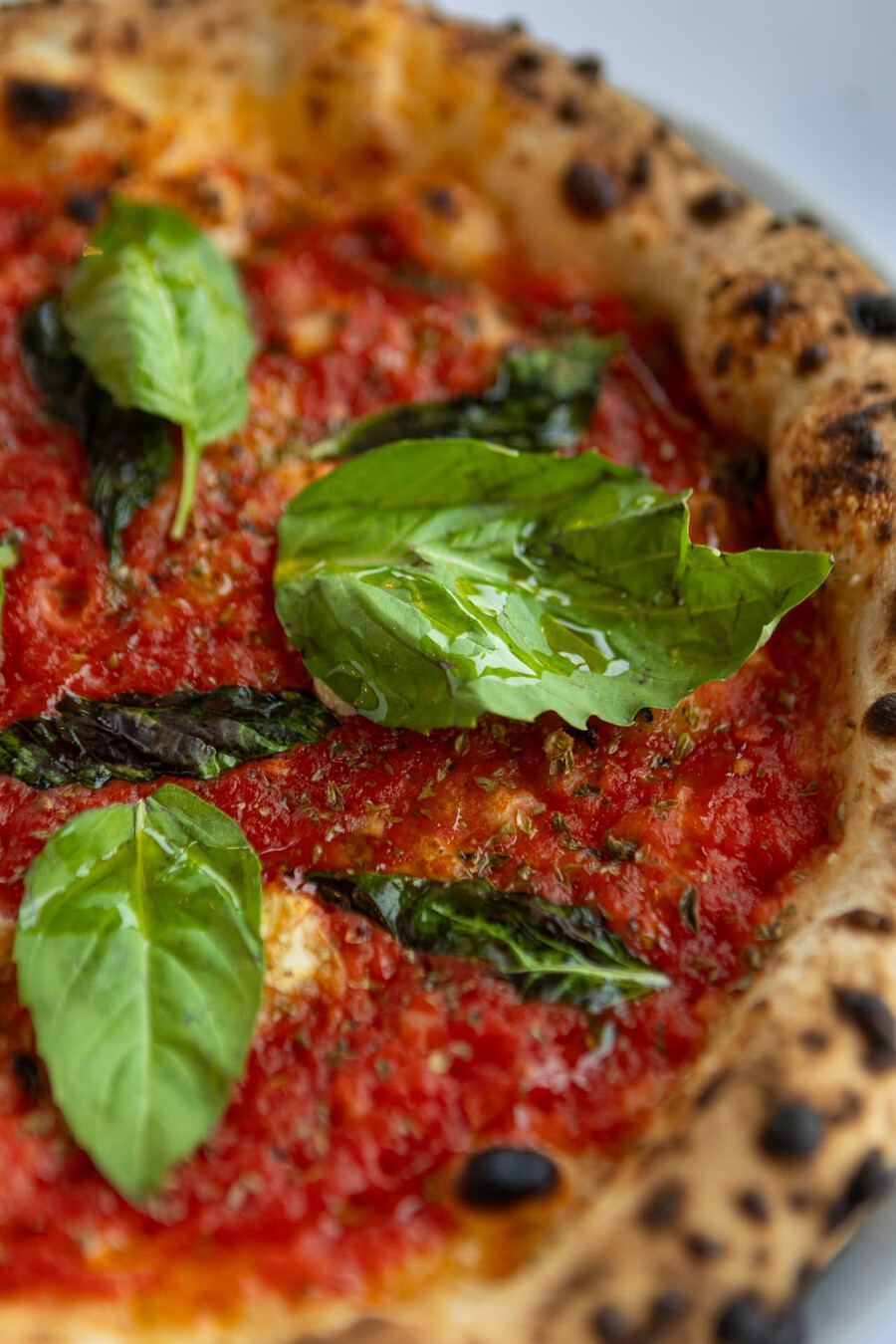 Bottega - Neapolitan pizzas Montreal Bottega - Neapolitan pizzas Montreal