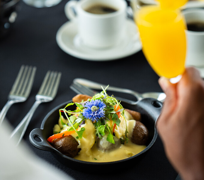 Brunch and Sunny Days: Our Favourite Terrasses for Brunching in Montreal Croisière AML