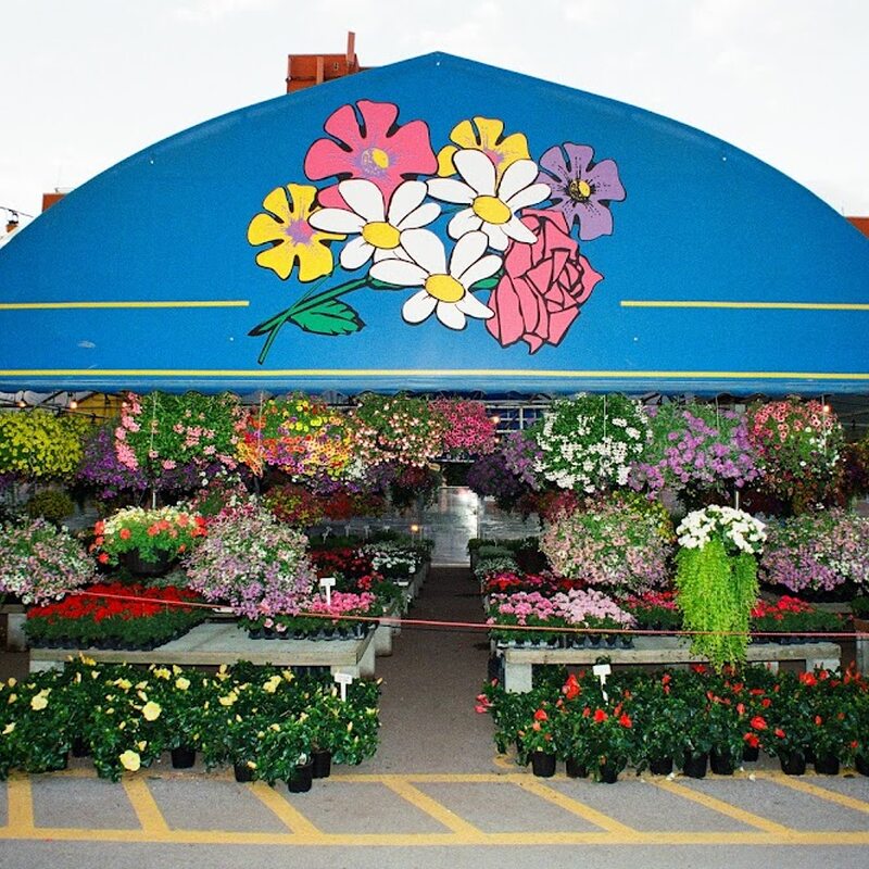 Lucille's Au Marché Restaurant