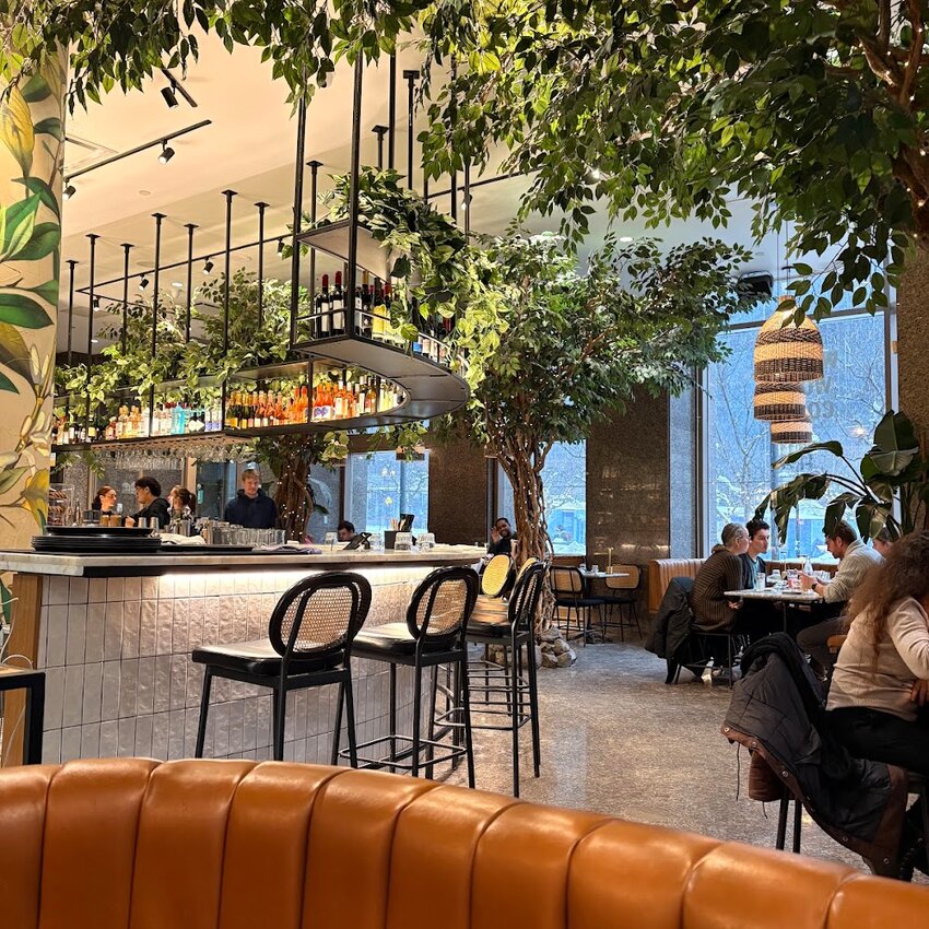 Pigeon Caf&eacute; & Bar - Brunch Restaurants Near: H4A1E4