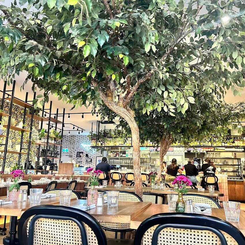 Pigeon Café & Bar - Bagels, Cafés Restaurants Near: H4A2B2