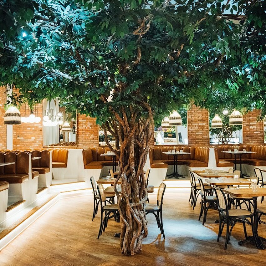 Pigeon Club Cafe - Brunch Restaurants Near: H9H5K6