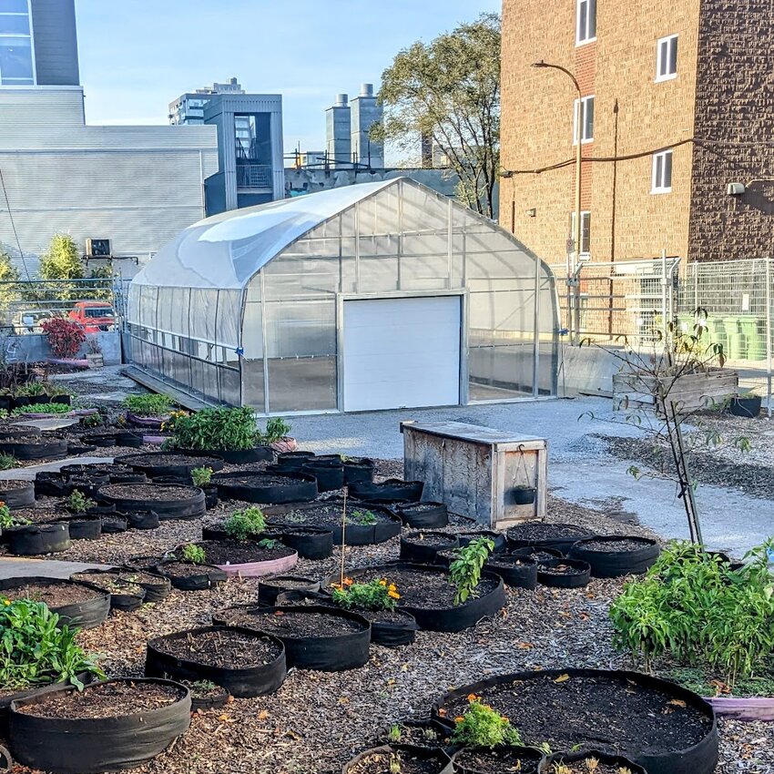 Jardin D'Azur Restaurant Montréal, QC