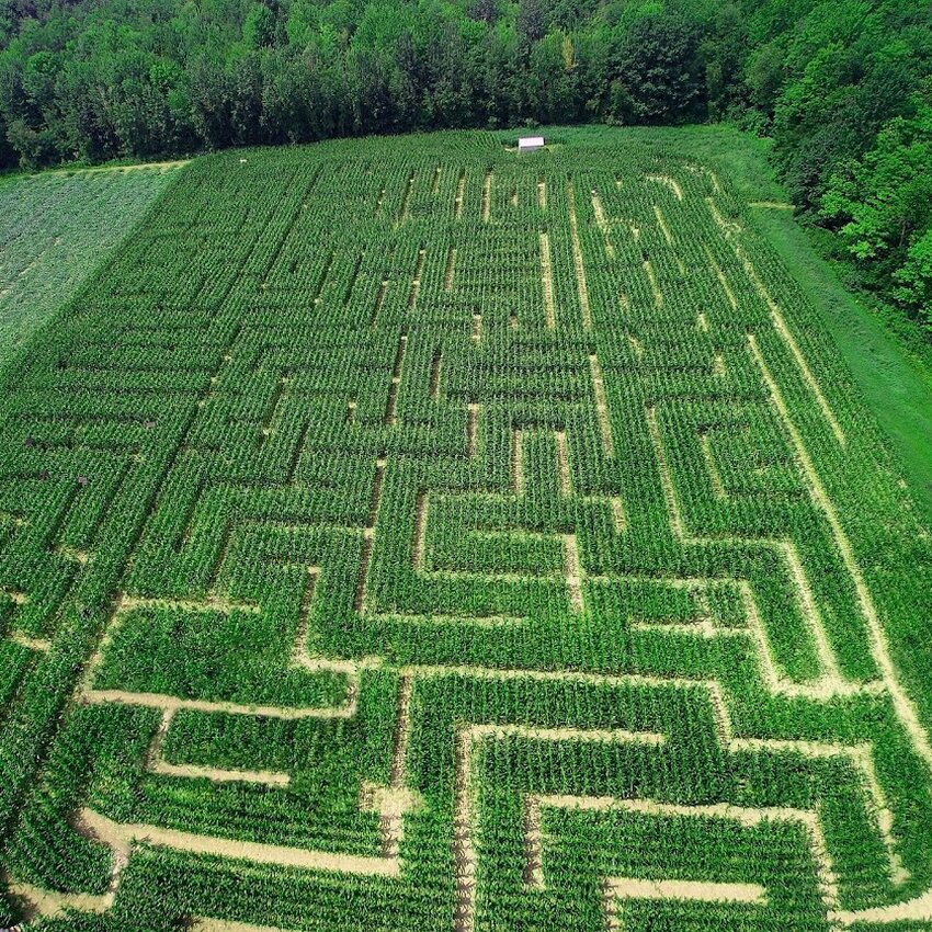 Verger Labont&eacute; - Montreal Rotisseries Open Now