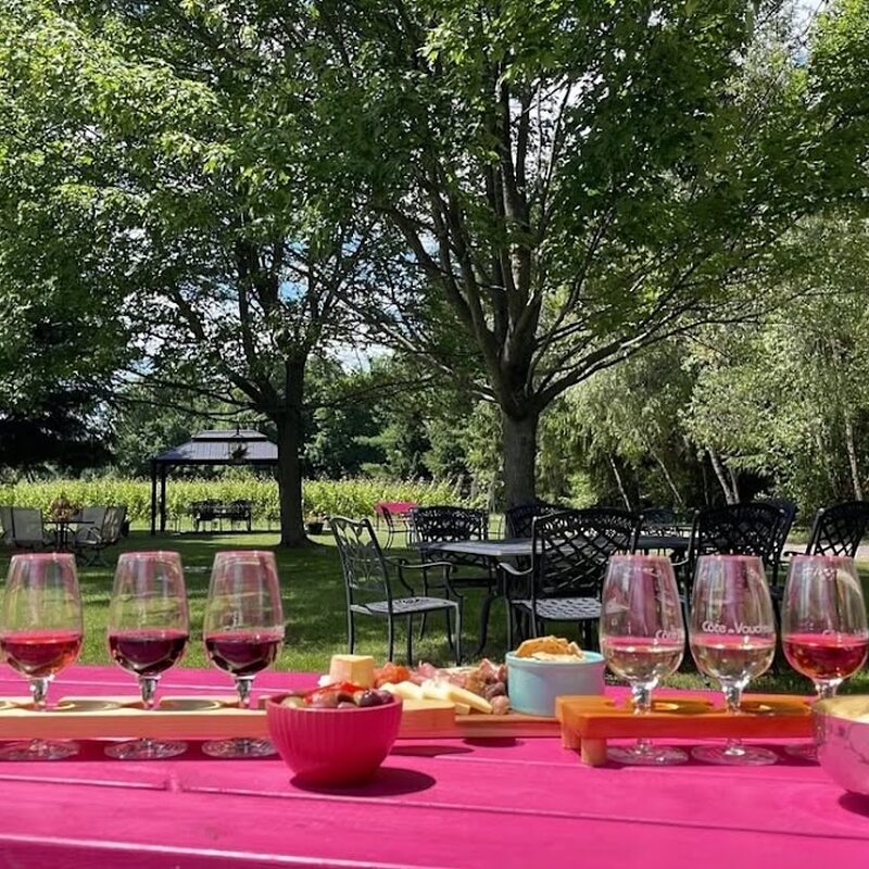 Vignoble C&ocirc;te de Vaudreuil - Restaurants de Montr&eacute;al