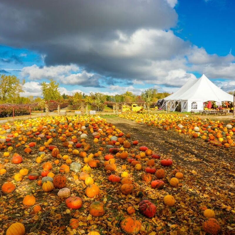 Ferme Marineau - Restaurants in Montreal