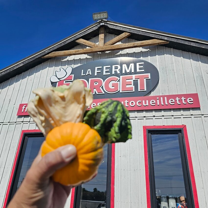 Ferme Forget Restaurant