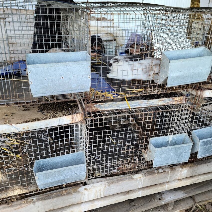 Les Citrouillards - Saint-Eustache Regional Restaurants