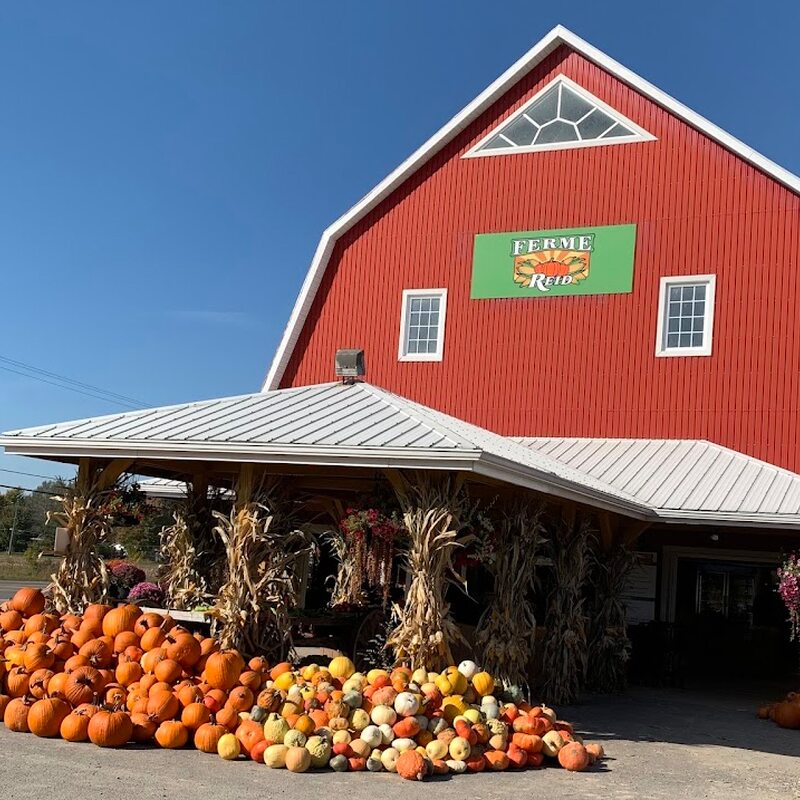 Ferme Reid - Restaurants Du Terroir, Boréals de Montréal