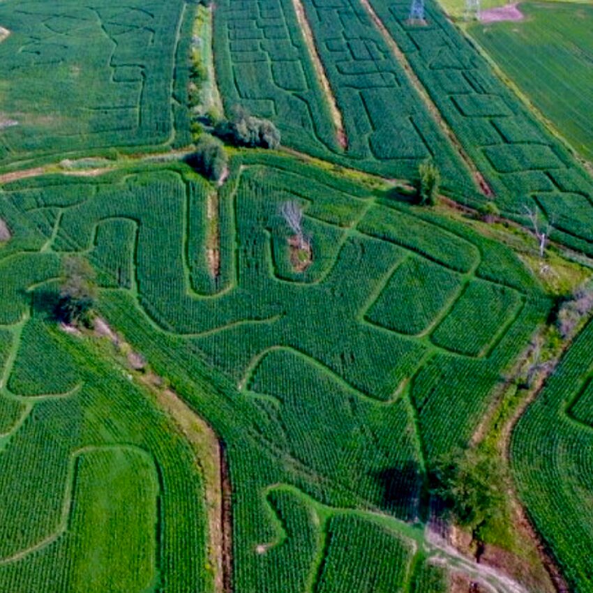 Labyrinthe Galaxie - Restaurants &agrave; Sainte-Julie