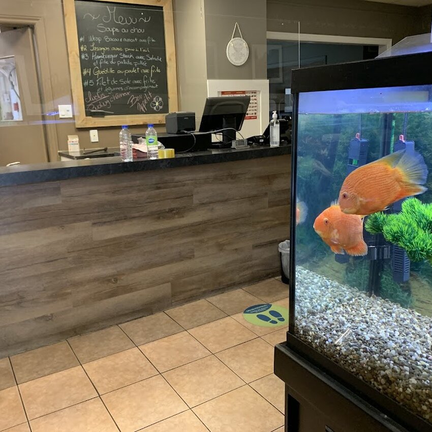 La Maison Baguettes -  Restaurants Near: J3N1L7