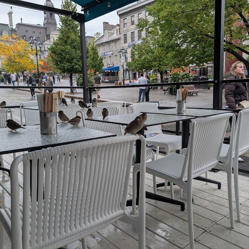 Mona Mediterranean Street Food - Sandwiches in Old Montreal